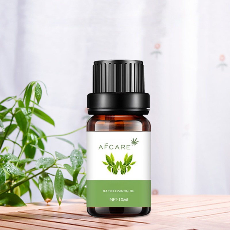 Wholesale Private Label 100% Pure & Natural Teatree Essential Oil