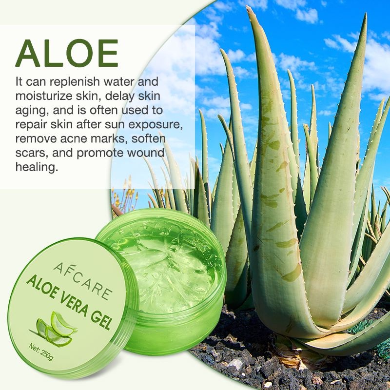 Wholesale Pure Aloe Vera Gel Face Skin Moisturizer Soothing Lightening