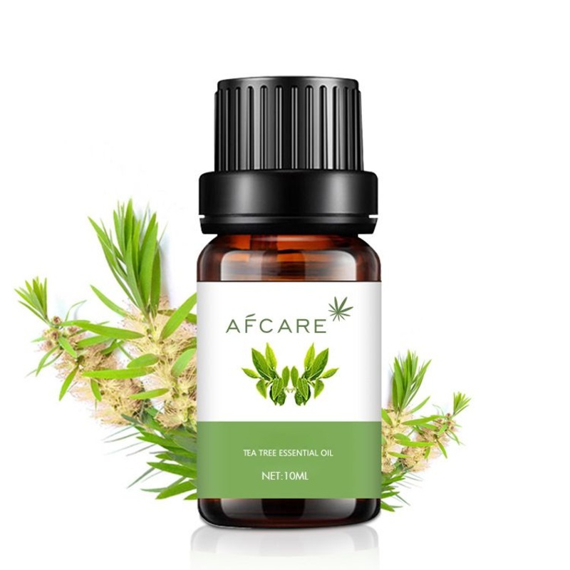 6/12 Premium Grade Fragrance 100% Massage Teatree Essential Oil Set Aromatherapy Oils