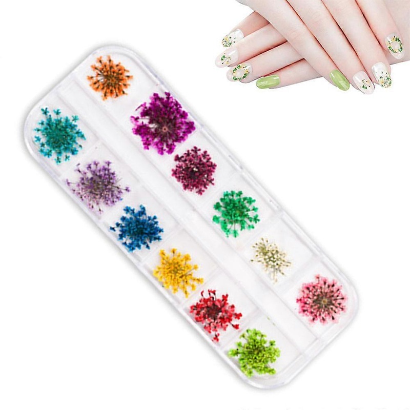 1 Box Of 12 Colour 3D Nail Art Stickers Real Dried Flowers Nail Art Stickers-A